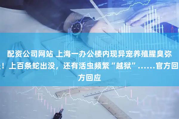 配资公司网站 上海一办公楼内现异宠养殖腥臭弥漫！上百条蛇出没，还有活虫频繁“越狱”……官方回应